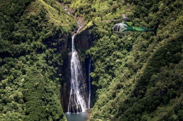 From Lihue: Experience Kauai on a Panoramic Helicopter Tour - Common Questions