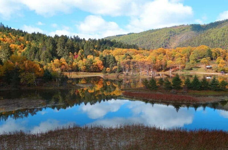 From Lijiang: 7-Day Tour of Lijiang, Shangri-La, and Dali - The Sum Up