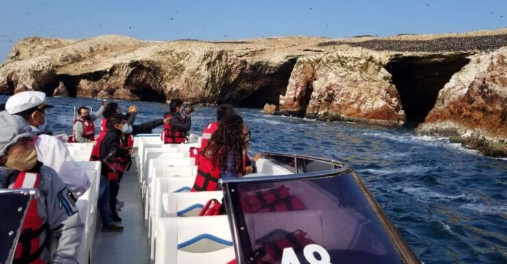 From Lima: Ballestas Island and Paracas Reserve Private Tour - Activity Information