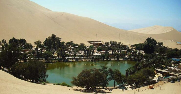 From Lima: Ballestas Islands, Huacachina, and Vineyard Tour - Tour Highlights