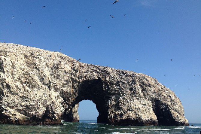 From Lima: Ballestas, Nazca Lines & Huacachina Oasis - Common Questions