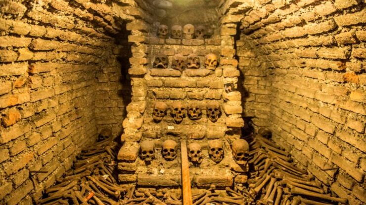 From Lima: City Tour - City of the Kings - Experience Highlights