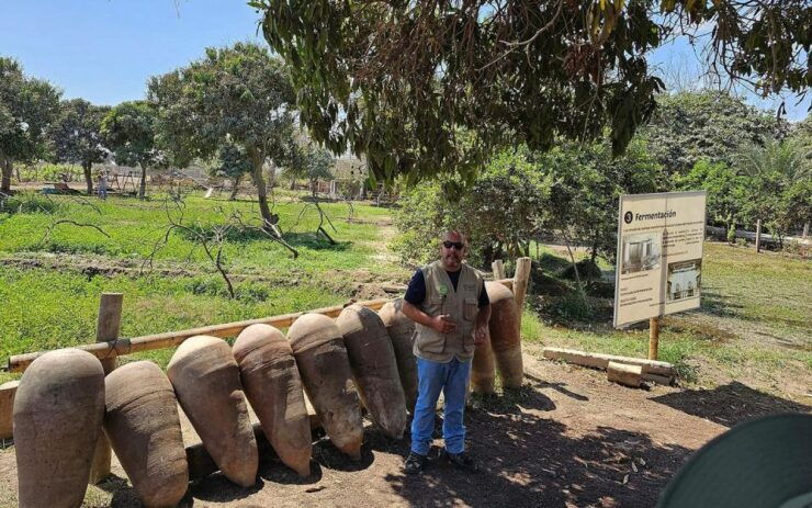 From Lima: City Tour in Ica and Visit the Huacachina Oasis - Inclusions