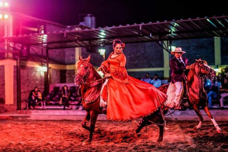From Lima: Dinner Show & Paso Horses - Booking Information