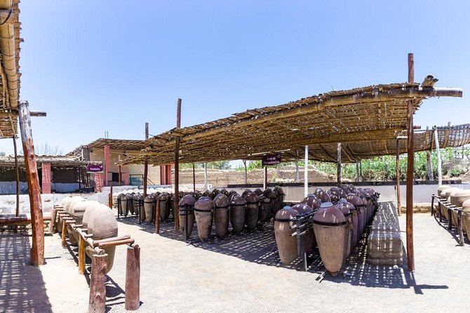 From Lima: Full Day Paracas - Huacachina - Sandboarding and Dune Buggy Ride