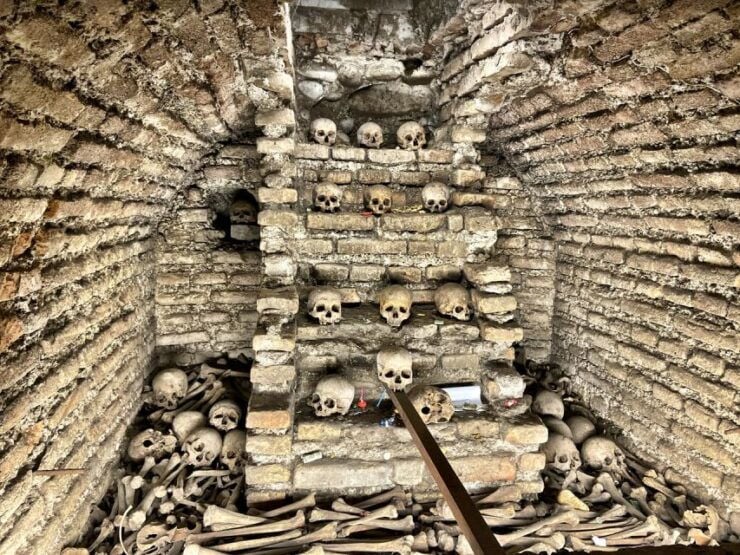 From Lima: Historic Center & Catacombs of Saint Francis - Tour Experience