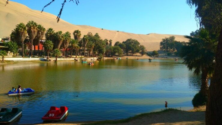 From Lima: Huacachina Oasis, Lunch, & Local Winery Tour - Activity Details