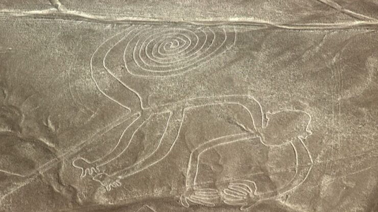 From Lima: Nazca Lines & Huacachina Oasis Guided Tour - Tour Inclusions