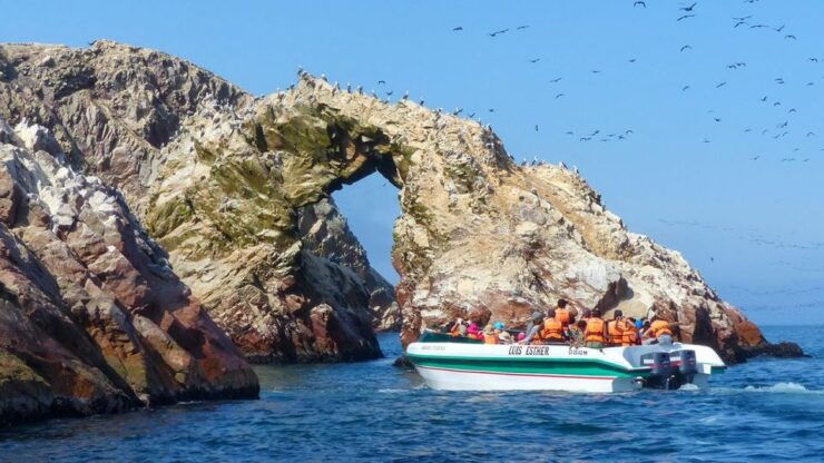 From Lima: Paracas & Huacachina 1 Day by Bus All Inclusive - Activity Details