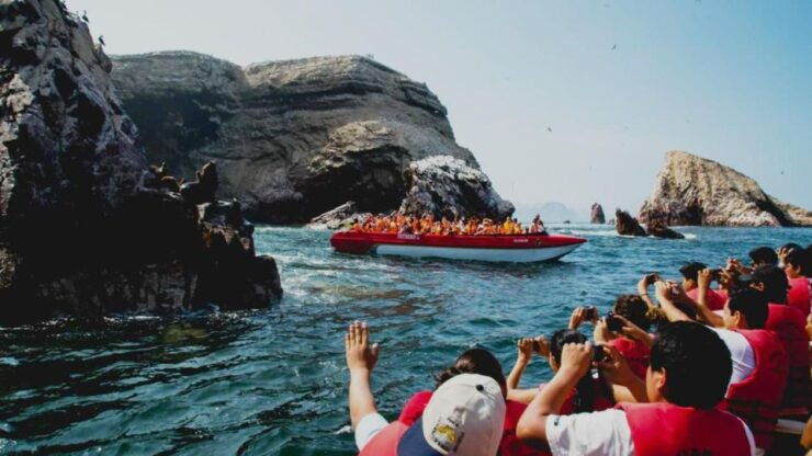 From Lima: Paracas–Huacachina and Nazca Lines 2 Days/1 Night - Booking and Flexibility
