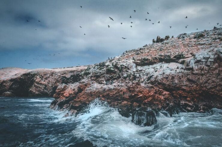 From Lima: Paracas National Reserve Tour & Ballesta Islands - Booking Details