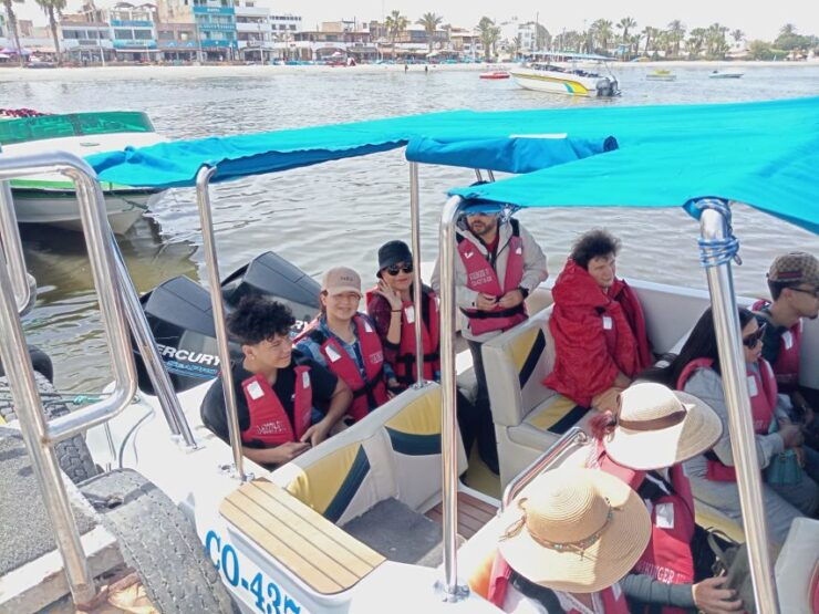 From Lima: Tour to Ballestas Islands, Huacachina Oasis - Included Services