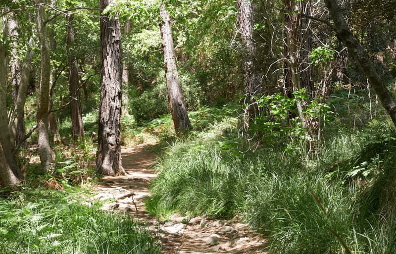 From Limassol: Private Tour Jeep Safari - Good To Know