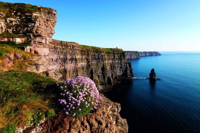 From Limerick: Full-Day Guided Tour of Cliffs of Moher - Tips for a Successful Tour