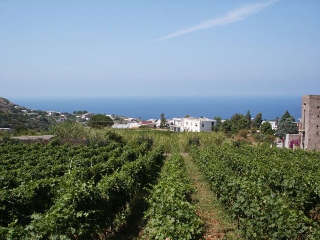 From Lipari: Lipari and Salina Full Day Sightseeing Cruise - Important Information