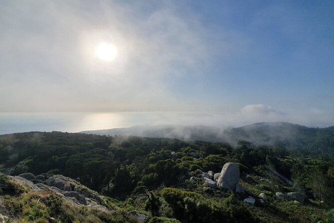 From Lisboa: Sintra, Cabo Da Roca & Cascais Private Full Day Tour - Exploring Cabo Da Roca and Cascais