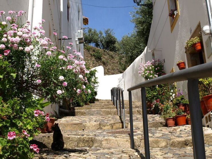 From Lisbon: 8-Day Tour of Portugal - Tour Highlights