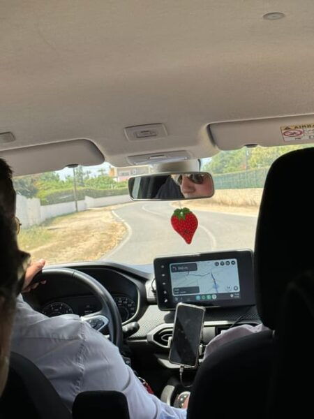 From Lisbon: Algarve Day Trip With Benagil Cave Cruise - Carvoeiro Exploration
