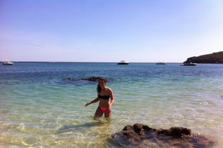 From Lisbon: Arrabida Private Full-Day Wine Excursion - Experience Highlights of the Tour