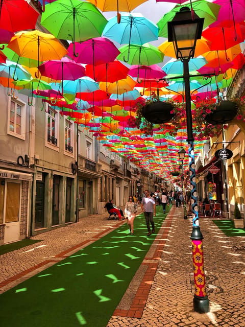 From Lisbon: Aveiro and Coimbra Private Tour - What Makes This Tour Special