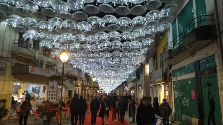 From Lisbon: Aveiro and Coimbra Private Tour - Practical Considerations