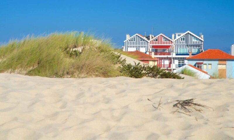 From Lisbon: Aveiro, Boat Ride, Costa Nova & Coimbra Private - Exploring the Highlights of the Tour