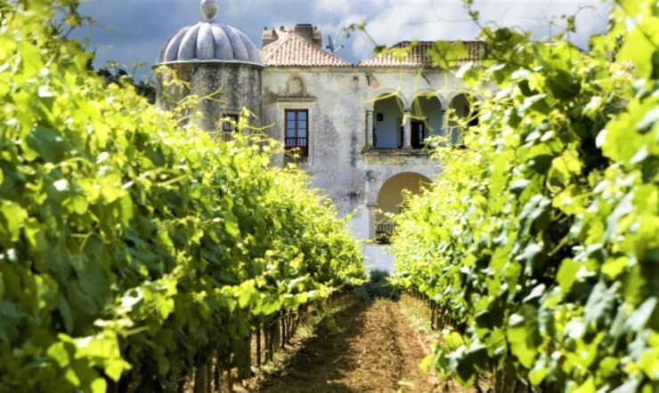From Lisbon: Azeitão Wine Cellar and Food-Tasting Tour - Booking and Cancellation Policy