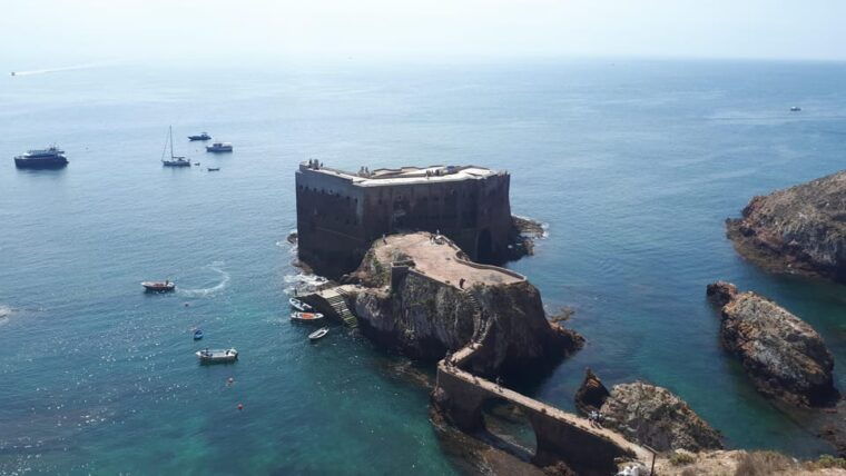 From Lisbon: Berlengas Island Boat and Kayak Private Tour - Practical Tips for Making the Most of Your Day
