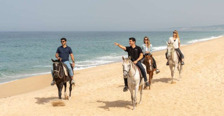From Lisbon: Comporta and Setúbal Trip With Horseback Riding - Overview of the Comporta and Setúbal Trip