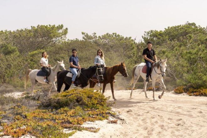From Lisbon: Comporta and Setúbal Trip With Horseback Riding - Return to Lisbon and Trip Recommendations