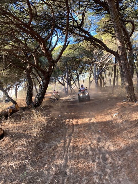 From Lisbon: Costa Da Caparica Guided Quad Bike Tour - Itinerary Highlights