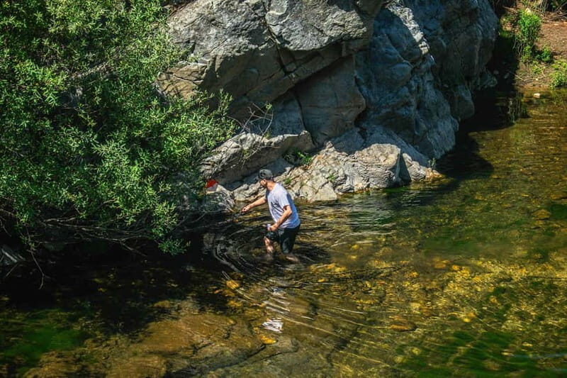 From Lisbon: Discover the Heart of Portugal Tour - Discover the Heart of Portugal: An In-Depth Tour Review