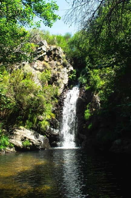 From Lisbon: Discover the Heart of Portugal Tour - Why This Tour is Worth Considering