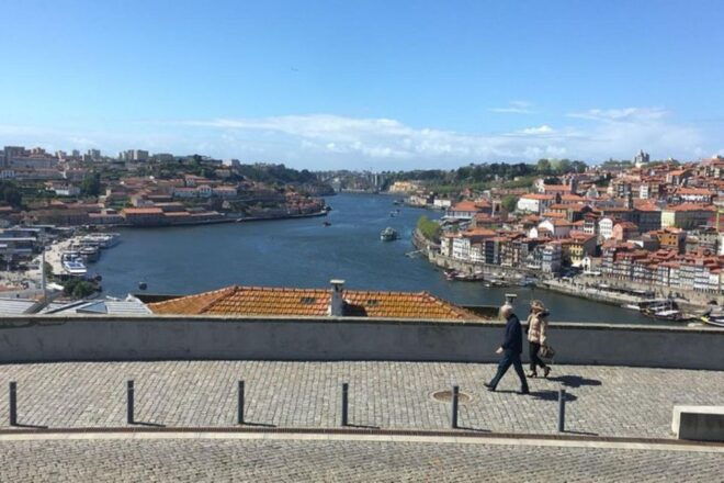 From Lisbon: Douro Valley and Porto Town Experience - Tour Highlights