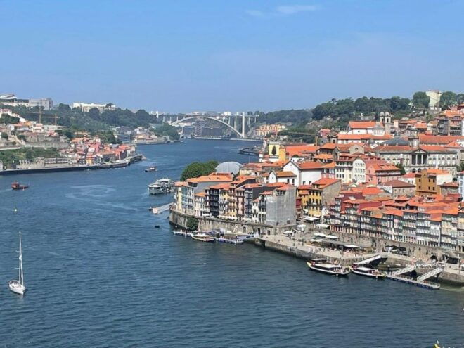 From Lisbon: Douro Valley and Porto Town Experience - Customer Review
