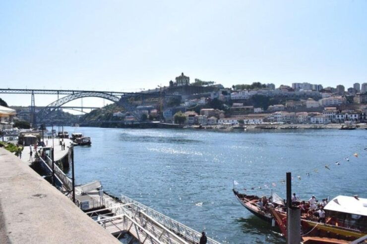 From Lisbon: Douro Valley and Porto Town Experience - Porto Town Exploration