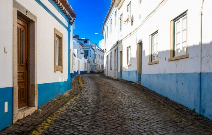 From Lisbon: Ericeira and Mafra Private Day Trip - Activity Details