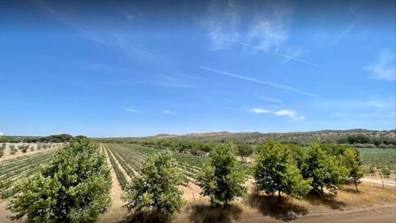From Lisbon: Évora, Cathedral, Bones Chapel & Wine Tasting - Practical Details and Tips