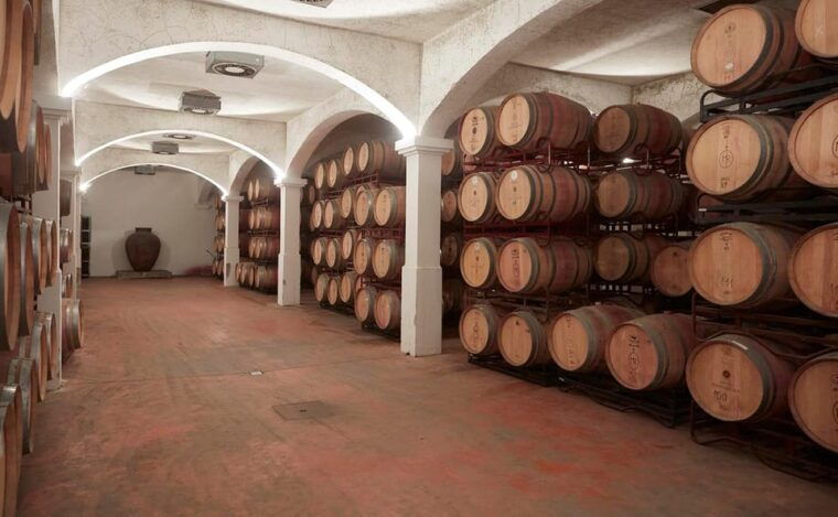 From Lisbon: Évora, Cathedral, Bones Chapel & Wine Tasting - Who Is This Tour Best For?