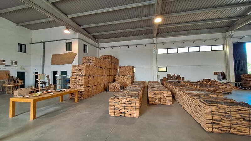 From Lisbon: Évora, Cork & the Hidden Old Town - Good To Know