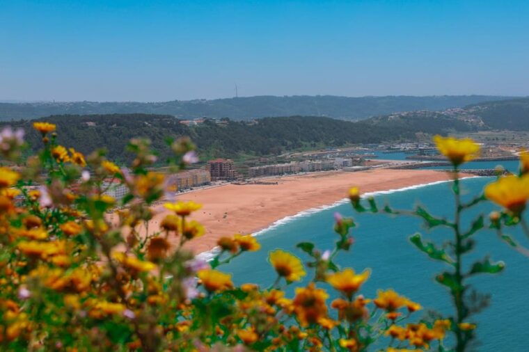 From Lisbon: Fátima, Nazaré & Sintra  3 Cities Guided Tour - Authentic Experiences and Hidden Gems