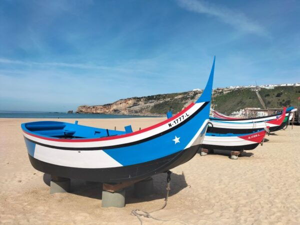 From Lisbon: Half-Day Private Eco-Tour to Nazaré by SUV - Customer Reviews