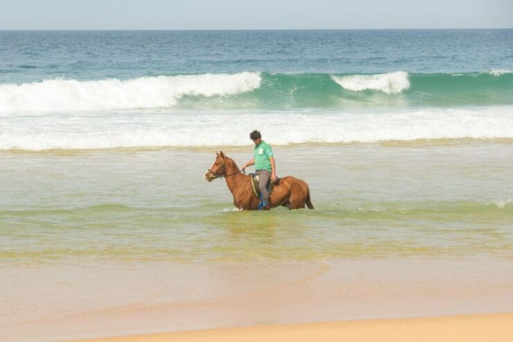 From Lisbon: Horseback Riding on Comporta Beach - Booking Information
