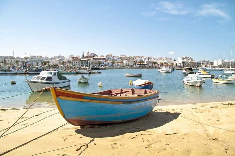 From Lisbon: Lagos & Albufeira Day Tour in the Algarve - Final Thoughts: Who Will Love This Tour?