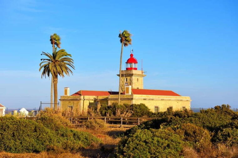 From Lisbon: Lagos & Albufeira Day Tour in the Algarve - Context and Authenticity