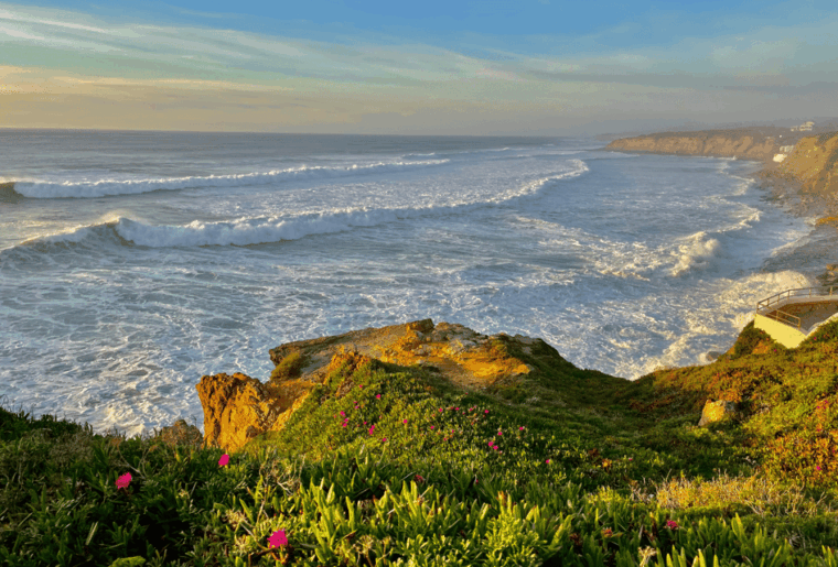 From Lisbon: Mafra Palace and Ericeira - Heritage and the Portuguese Coast - The Sum Up  