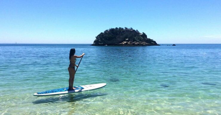 From Lisbon: Nature Park of Arrábida Paddleboarding - Good To Know