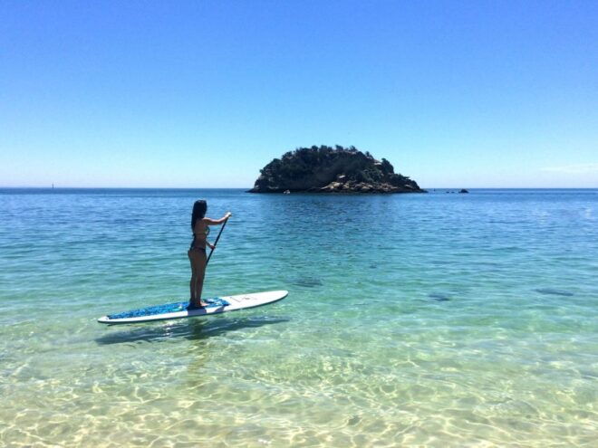 From Lisbon: Nature Park of Arrábida Paddleboarding - Customer Reviews