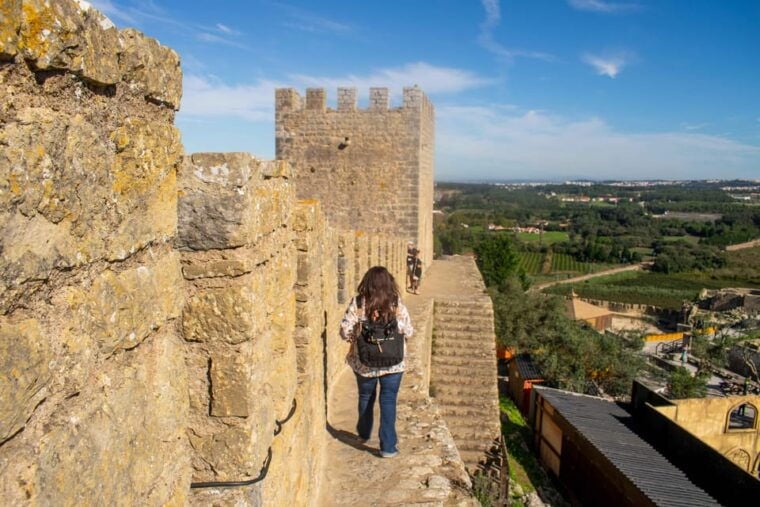 From Lisbon: Óbidos and Peniche Day Tour with Local Guide - Transportation and Group Size