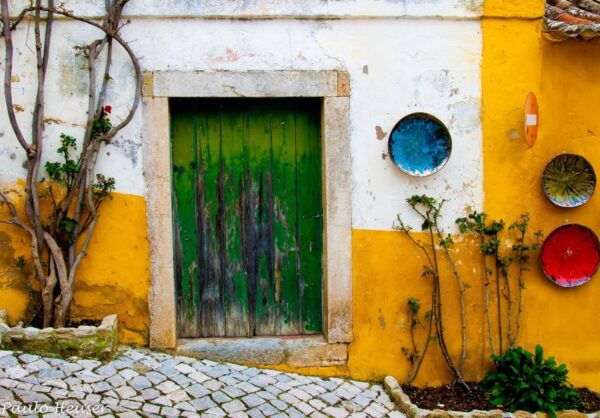 From Lisbon: Óbidos Experience - Transportation and Guide Services